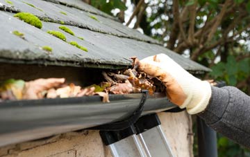 gutter cleaning Lee Ground, Hampshire